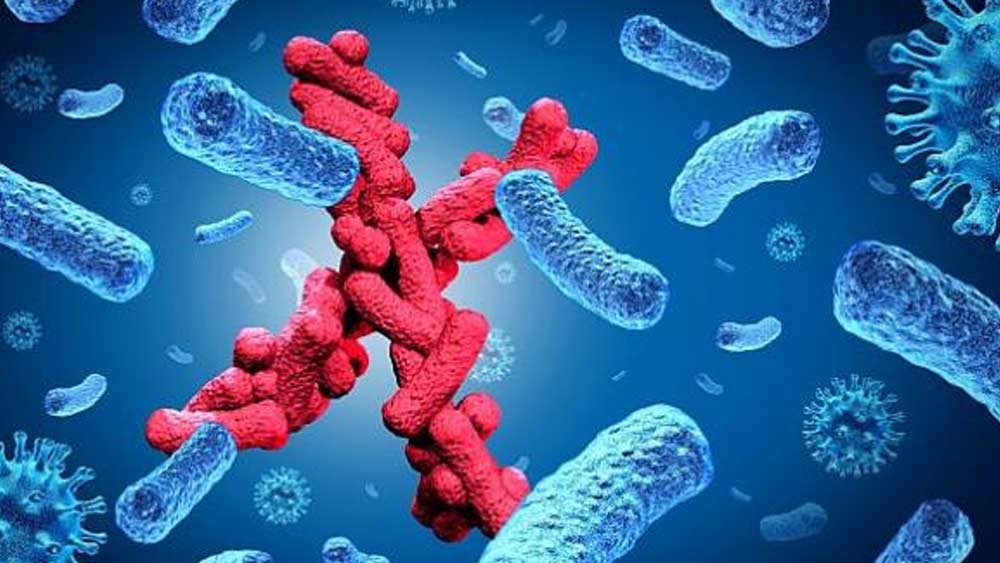 অসুরক্ষিত যৌন সম্পর্ক বা রক্তের মাধ্যমে ছড়ায় এই রোগ। বিশ্বের অনেক জনপ্রিয় সেলিব্রিটি আছেন, যাঁদের মৃত্যু হয়েছিল এডস বা অন্য কোনও যৌনসংক্রমিত রোগ থেকে। এক ঝলকে দেখে নিই সেই সব সেলিব্রিটিদের।