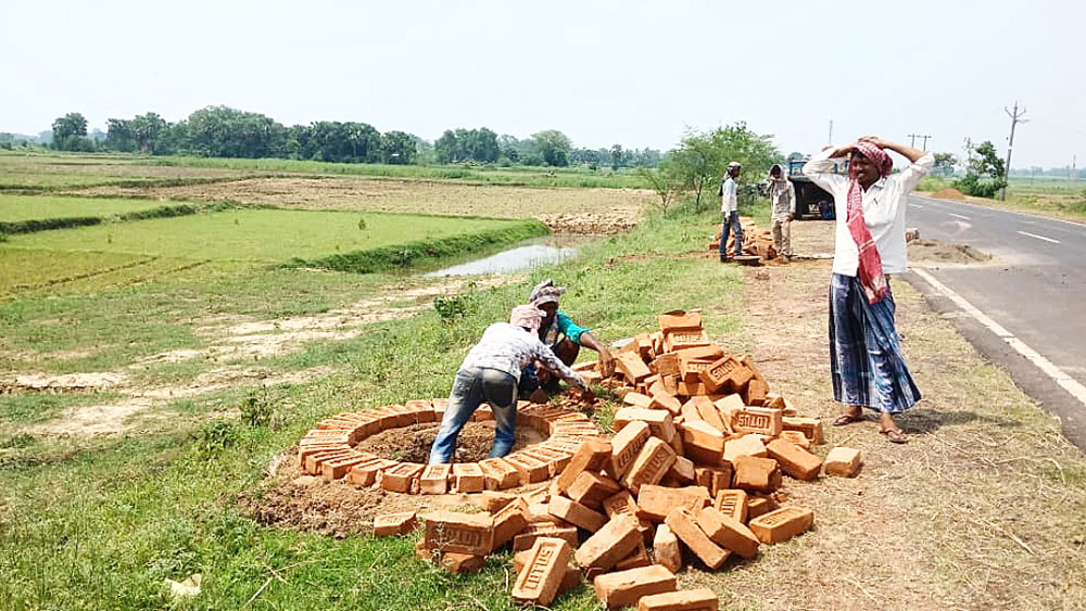 Tree planting started in Birbhum district