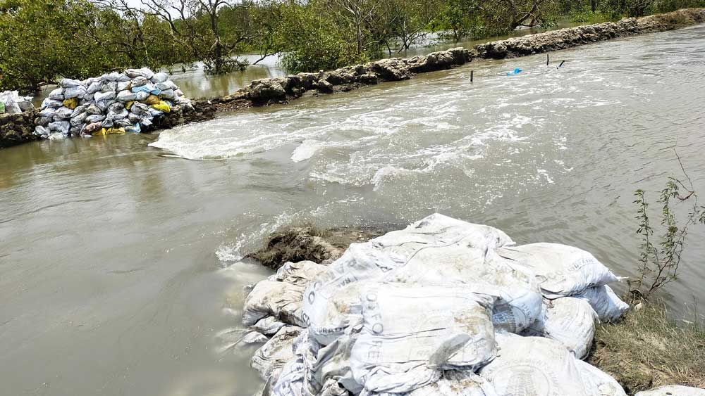 থই-থই: নন্দকুমার পঞ্চায়েতের নারায়ণপুর গ্রামের কাছে ছাতুয়া নদীবাঁধ ভেঙে প্লাবিত এলাকা। নিজস্ব চিত্র