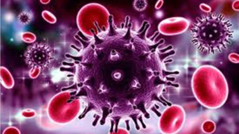 19 people infected in last 24 hours