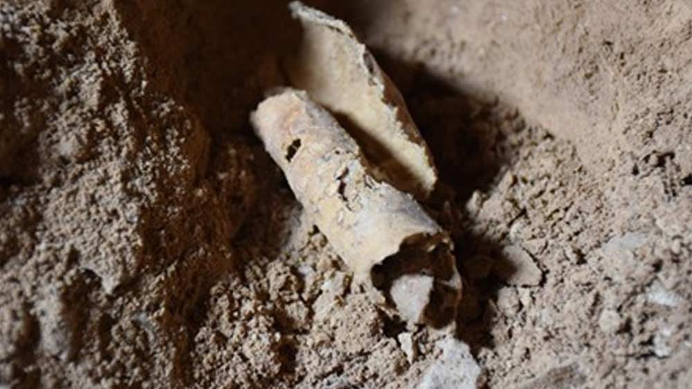 পশুচর্মগুলি গুটিয়ে রাখা ছিল পাত্রের ভিতরে। যাকে ইংরেজিতে বলা হয় ‘স্ক্রোল’। সাতটি পাত্র থেকে স্ক্রোল উদ্ধার করে বেদুইন   জনগোষ্ঠীর ওই রাখাল বালকরা। তাদের নাম ছিল মহম্মদ ইদ ধিব, জুমা মহম্মদ এবং খলিল মুসা। ঐতিহাসিক আবিষ্কারের সঙ্গে চিরকালের জন্য জড়িয়ে যায় এই তিন জনের নাম।