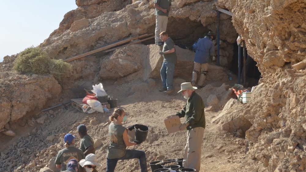 বেদুইনরা এর পর দল বেঁধে গুহায় হানা দিয়ে গুটিয়ে রাখা চর্মলিপি উদ্ধার করতে থাকে। ক্রমশ বাইরে ছড়িয়ে পড়ে এই রহস্য-আবিষ্কারের কথা। ১৯৪৬-এর শেষ থেকে শুরু করে প্রায় ১০ বছর ধরে ডেড সি-র চারপাশে গুহা থেকে উদ্ধার করা হয় এক হাজারের বেশি স্ক্রোল।