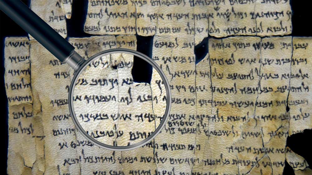 মূলত প্যাপিরাস, পার্চমেন্ট, শূকর বা অন্য পশুর চামড়ার উপরে লেখা হত রিড পেন দিয়ে। পাতলা বাঁশের পাতের এক প্রান্ত তীক্ষ্ণ করে নেওয়া হত। তার পর তা কালিতে চুবিয়ে লেখা হত। প্রাচীন সুমেরীয় ও মিশরীয় সভ্যতাতেও এই কলমের প্রচলন ছিল।