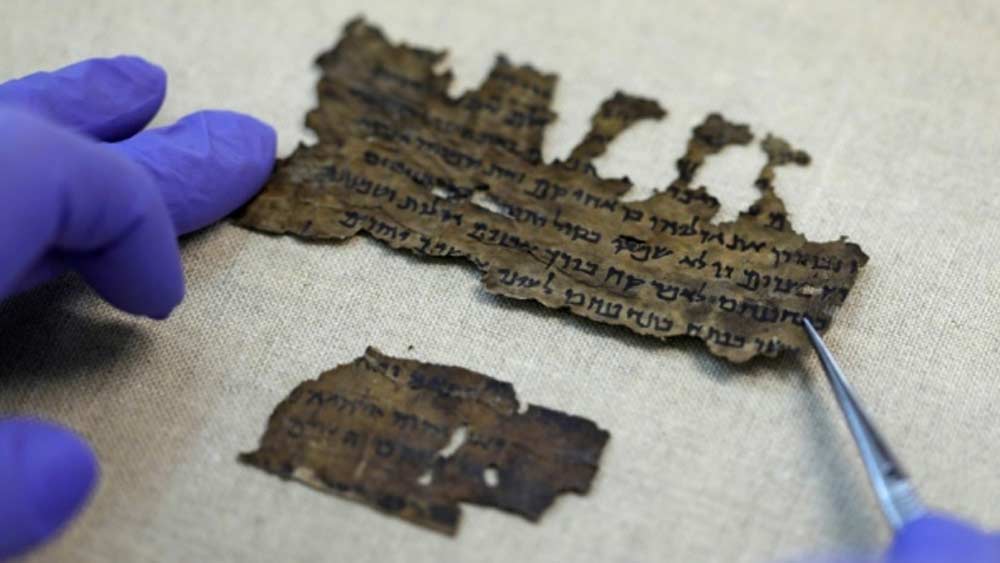 ডেড সি স্ক্রোলের বেশিরভাগই লেখা হয়েছে কালো কালিতে। রেডিয়ো কার্বন পরীক্ষায় ধরা পড়েছে অলিভ অয়েল বা জলপাইয়ের তেলে কয়লা পুড়িয়ে সেই কালি ব্যবহার করা হয়েছে। লাল কালি তৈরি করা হয়েছিল পারদ দিয়ে। মধু, জল আর ভিনিগার মিশিয়ে পাতলা করে নেওয়া হয়েছিল সান্দ্র কালি। তবে যতগুলি স্ক্রোল আবিষ্কৃত হয়েছে, তার মধ্যে মাত্র চার জায়গায় লাল কালি ব্যবহার করা হয়েছে।