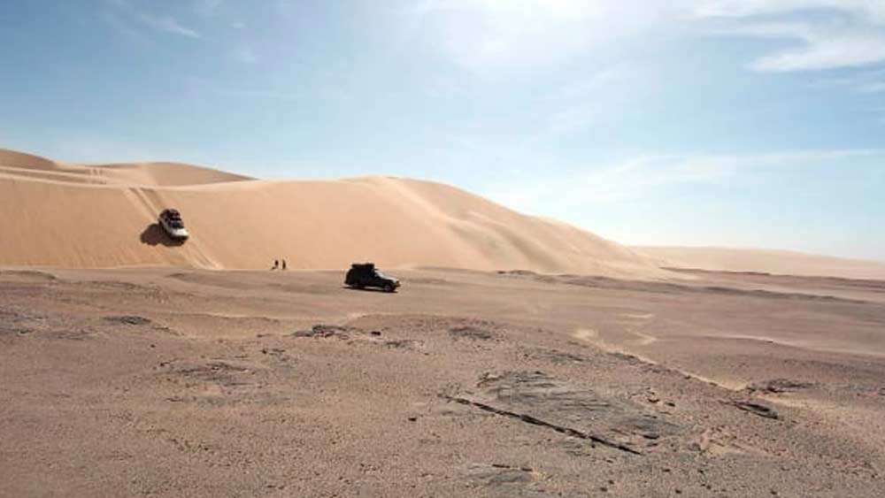 নামিবিয়া, অ্যাঙ্গোলা এবং দক্ষিণ আফ্রিকা— এই তিন দেশে রয়েছে নামিব মরুর অংশ। তার মধ্যে নামিবিয়ার অংশেই পড়েছে ওই স্কেলিটন কোস্ট।
