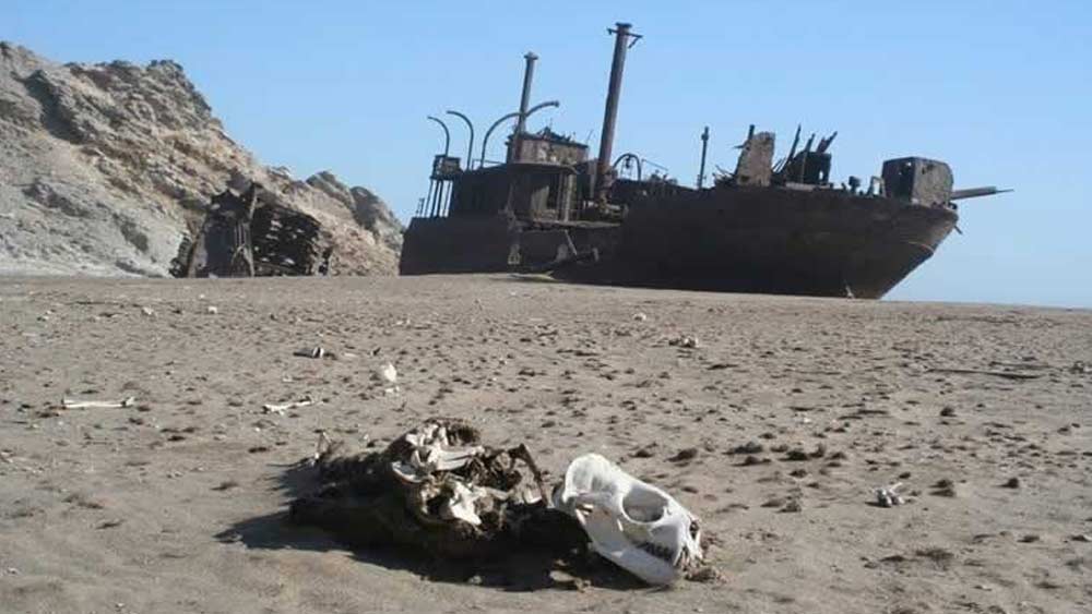 ‘কঙ্কাল উপকূল’-এর কঙ্কাল শব্দটি এসেছে জাহাজ এবং প্রাণী, দু’টির দেহাবশেষ থেকেই। অতীতে এখানে সমুদ্রতটে স্তূপের মতো জমে থাকত তিমি এবং সিলের কঙ্কাল।