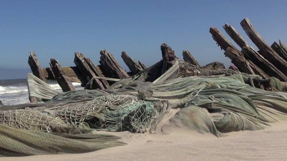 প্রাচীন কাল থেকে মৃত্যুলীলার সাক্ষী থাকলেও এই অংশের নাম ‘স্কেলিটন কোস্ট’ হয়েছে ১৯৪৪ সালে। সে বছর ডুনেডিন স্টার জাহাজডুবি নিয়ে বই লেখেন জন হেনরি মার্শ। তিনি-ই এই অতলান্তিক উপকূলের নামকরণ করেন কঙ্কাল উপকূল।