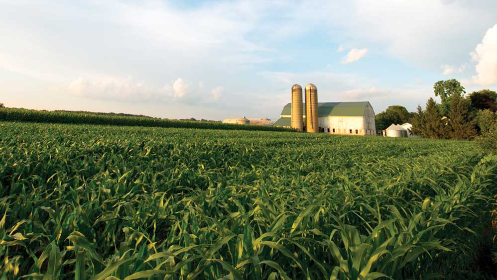 COVID-19 pandemic has hit the development process of West Bengal