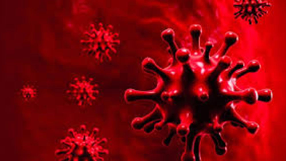 The death toll in the world exceeded four lakh