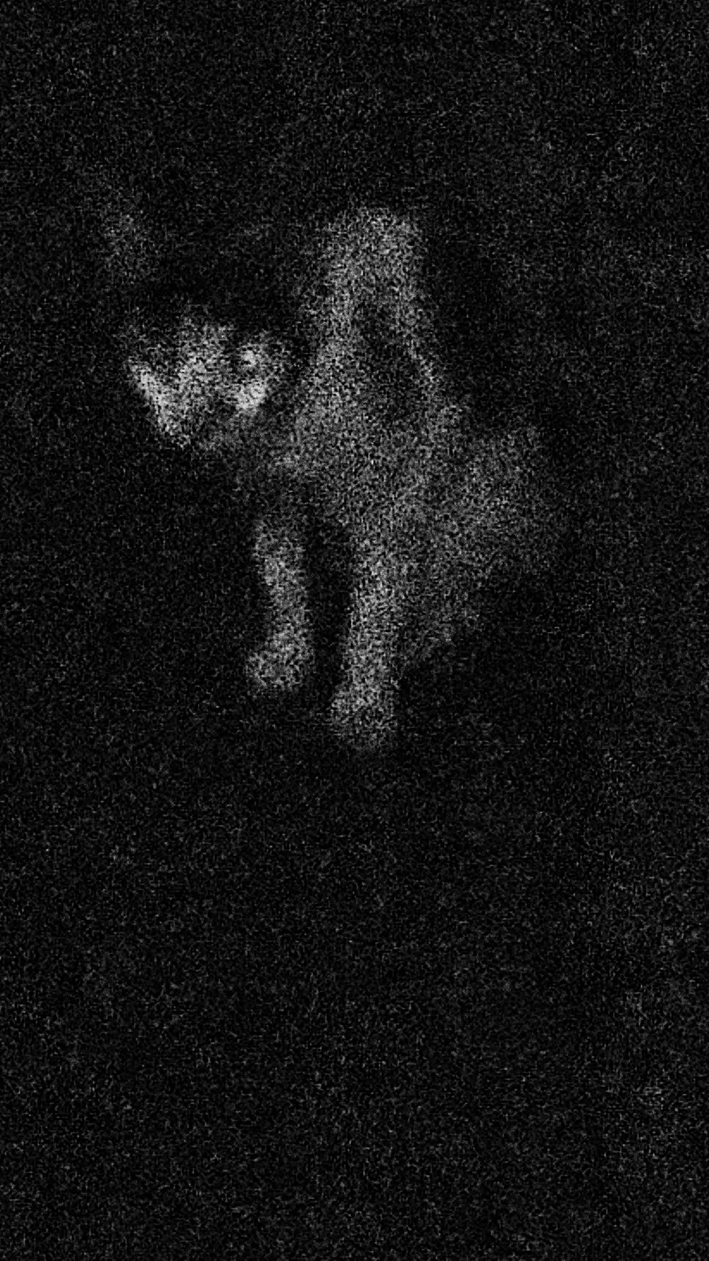 বাবার কিনে দেওয়া ক্যামেরায় ছোটবেলা থেকে ছবি তুললেও ২০১৬ থেকে ছবি তোলার কাজে বেশি করে মন বসিয়েছেন মালদহের এই মেয়ে। কলকাতার নামকরা গ্যালারিতে ছবি দেখতে যাওয়া, গুণী শিল্পীদের কাজ ছাপ ফেলে যেত মনে।