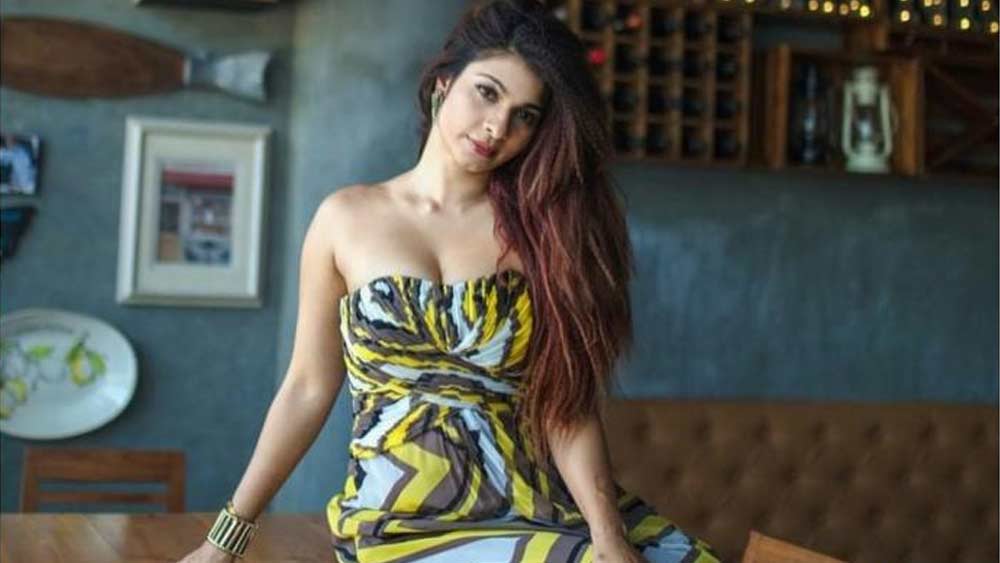 বলিউডে তনিশার প্রথম ব্রেক ২০০৩ সালে। ‘শশশশ...’ ছবিতে তিনি অভিনয় করেন করণনাথের বিপরীতে। কিন্তু বক্স অফিসে ছবিটি সাফল্য পায়নি।