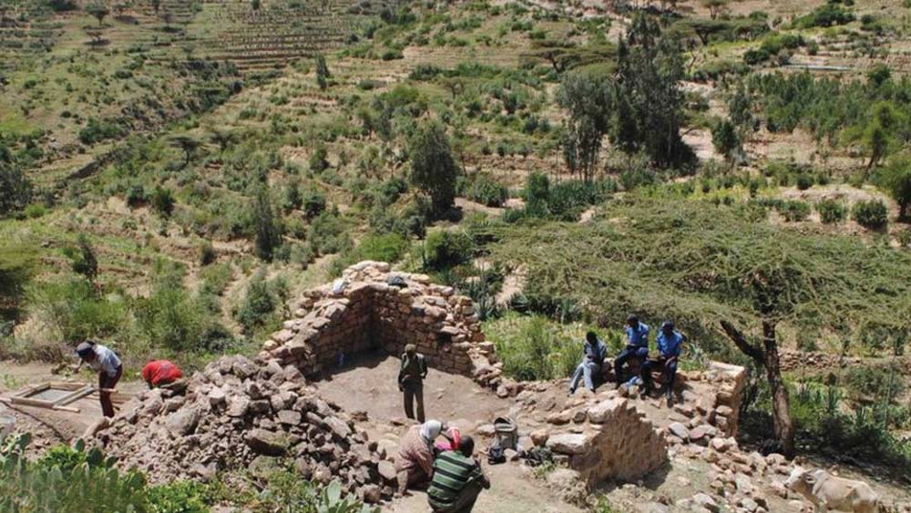 এই খনন কাজের পর গবেষকরা দেখেছেন, বিটা সামাতিতে ছিল প্রচুর ছোট ছোট বাড়ি। এর পাশাপাশি আয়তাকার বড় বাড়িরও খোঁজ মিলেছে। যেগুলিকে ‘বাসিলিকা’ বলে চিহ্নিত করেছেন গবেষকরা। এগুলি আদালত বা অন্য প্রশাসনিক দফতর হিসাবে ব্যবহৃত হত। পরে উপাসনাকেন্দ্রে পরিণত হয়েছিল এগুলি।