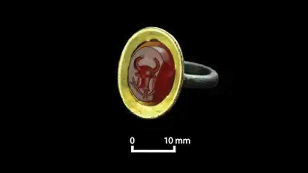 এই সভ্যতায় তামার তৈরি রিংও খুঁজে পাওয়া গিয়েছে। ষাঁড়ের শিংয়ে পরানো হত তামার তৈরি এই রিং। সেগুলি রোম সভ্যতা থেকে নিয়ে আসা হত বলেও মনে করেন গবেষকরা। মদ সংরক্ষণের অ্যামফোরও খুঁজে পাওয়া গিয়েছে এখানে। এই ধরনের অ্যামফোরে আকাবা অর্থাৎ এখন যেখানে জর্ডন সেখান থেকে আনা হত।