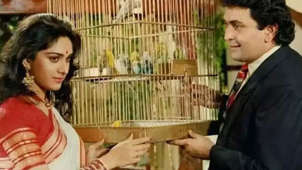 ‘দামিনী’ ছবিতে তাঁর নাচ আজও সিনেপ্রেমীদের মধ্যে যথেষ্ট জনপ্রিয়। কিন্তু কেরিয়ারে এত সাফল্যের মধ্যে থাকা নায়িকার জীবনে কি কোনও বিতর্ক আসেনি?