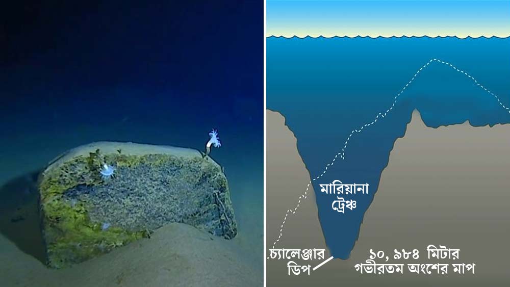 সমুদ্রবিজ্ঞানীদের গবেষণায় জানা গিয়েছে এই খাতের গভীরতম অংশের মাপ ১০, ৯৮৪ মিটার। মারিয়ানা ট্রেঞ্চের গভীরতম এই অঞ্চলের নাম দেওয়া হয়েছে চ্যালেঞ্জার ডিপ।