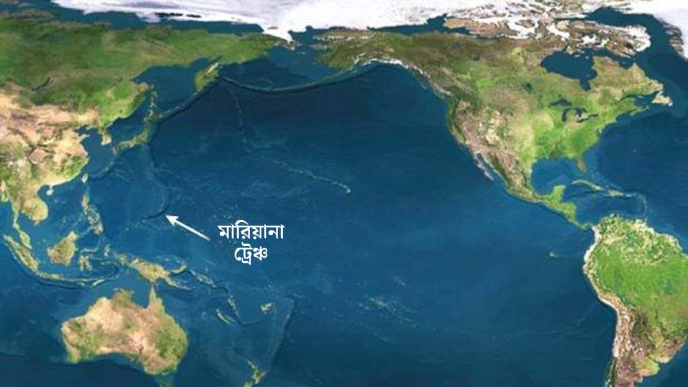 Dadam oglining qoliga tiqdi