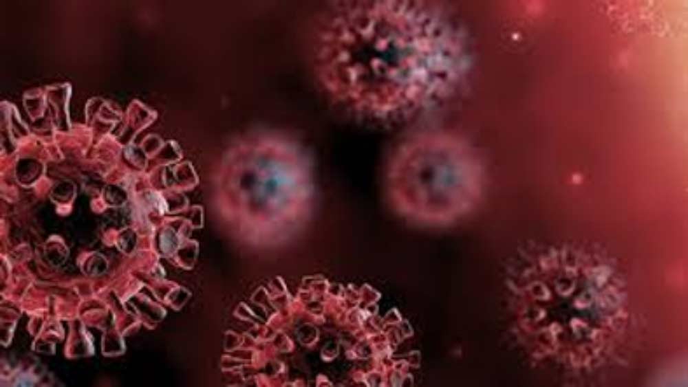 Death of a senior family member due to Covid, infected other members