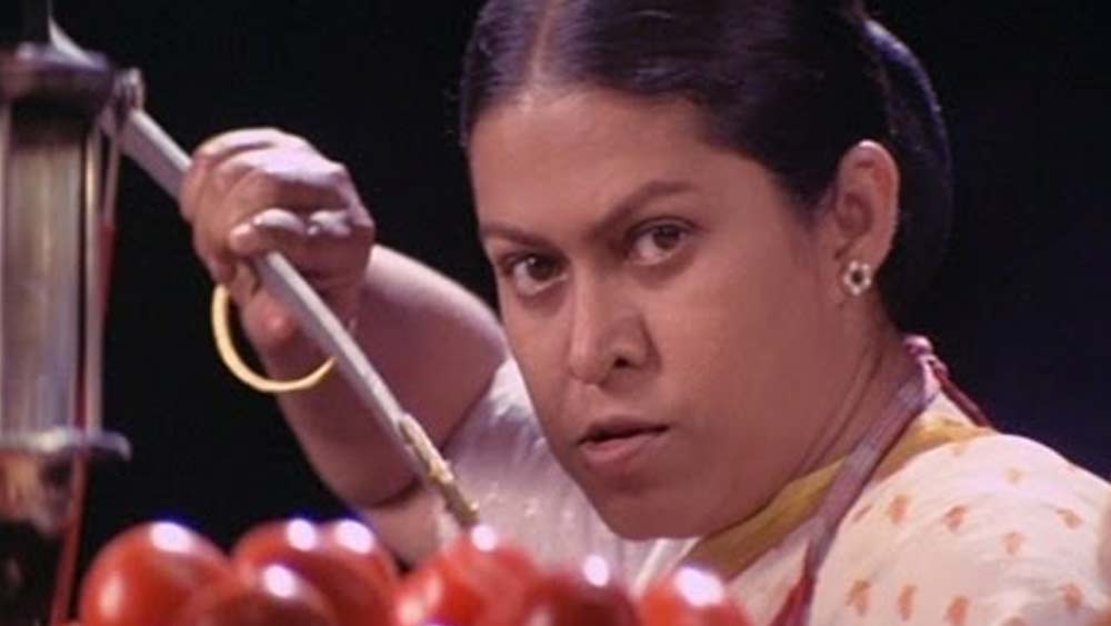 ‘বন্দিনী’ ধারাবাহিকে রসিকার অভিনয় নজর কেড়েছিল দর্শকদের। ২০০৪ সালে বলিউডে অভিনেত্রী হিসেবে আত্মপ্রকাশ রসিকার। প্রথম ছবি ছিল ‘বাস্তুশাস্ত্র’।