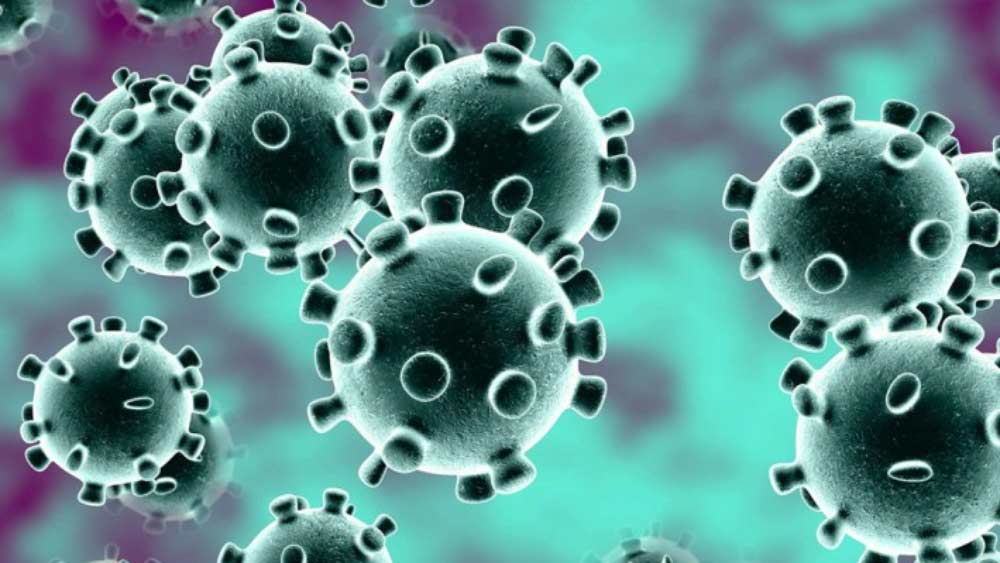 4 members of gram panchayat at Bangaon got infected by Covid