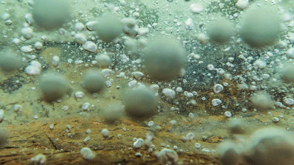 বিরল হলেও ফুটন্ত নদী আরও আছে পৃথিবীতে। কিন্তু সেগুলির কাছে হয় আগ্নেয়গিরি বা চৌম্বকীয় ক্ষেত্র আছে। আমাজনের শানায় টিম্পিসখা নদী থেকে নিকটবর্তী সক্রিয় আগ্নেয়গিরির দূরত্ব ৪০০ কিমি। তা ছাড়া পেরুর আমাজনে কোনও চৌম্বকীয় ক্ষেত্রও নেই।