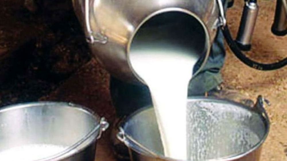 Allegation on adulteration of milk in singur, one arested