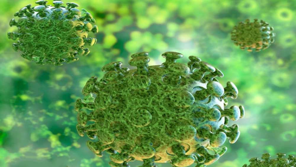 Work for building safe home is kept off for now