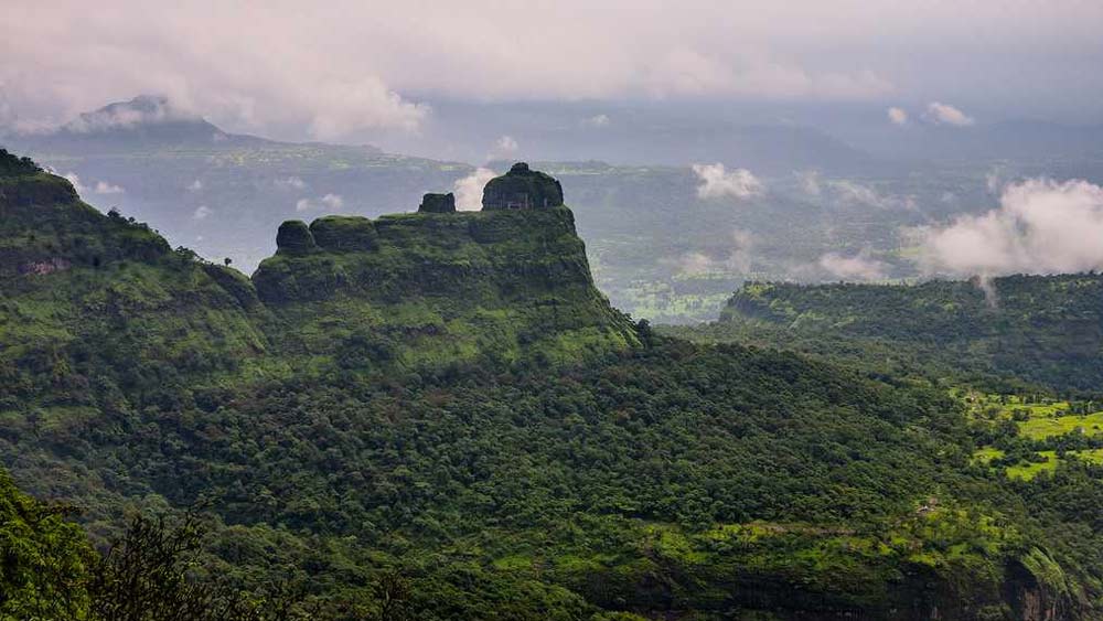 কর্নাটক, গোয়া এবং মহারাষ্ট্রের পশ্চিমঘাট বলয় জুড়ে বিস্তৃত এই অরণ্যকে বিজ্ঞানের পরিভাষায় বলা হয় ‘লুমিনিসেন্ট ফরেস্ট’।