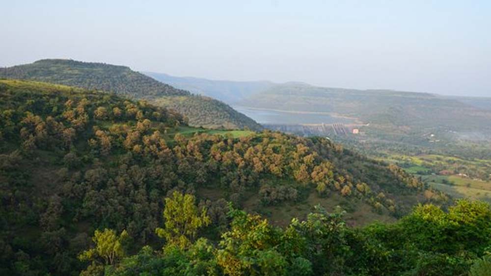 লুমিনিসেন্ট সমুদ্র বিরল। তার থেকেও বিরল এই ধরনের অরণ্য। পশ্চিমঘাট পর্বতের ভীমশঙ্কর অভয়ারণ্য সেই বিরল নিদর্শনের মধ্যে অন্যতম। অরণ্যের এই উজ্জ্বল রূপ সবথেকে বেশি এবং সবথেকে ভাল দেখা যায় বর্ষায়।