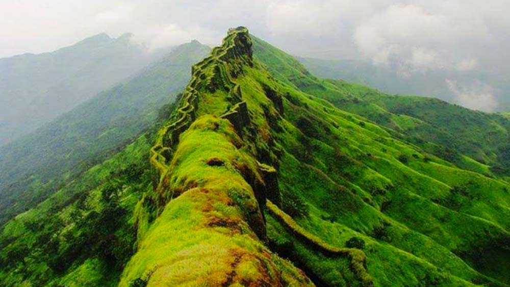 বাতাসে অত্যধিক পরিমাণে জলীয় বাষ্প জমলে তার সঙ্গে মিসেনা ব্যাকটিরিয়ার বিক্রিয়ায় উজ্জ্বল আলোর সৃষ্টি হয়। বর্ষায় ভীমশঙ্কর জঙ্গলের মাটিতে জমে থাকা পাতা, গাছের ছোট বড় ডাল পচতে শুরু করে। ফলে সেখানে তখন দ্রুত বংশবিস্তার করে মিসেনা জীবাণু।