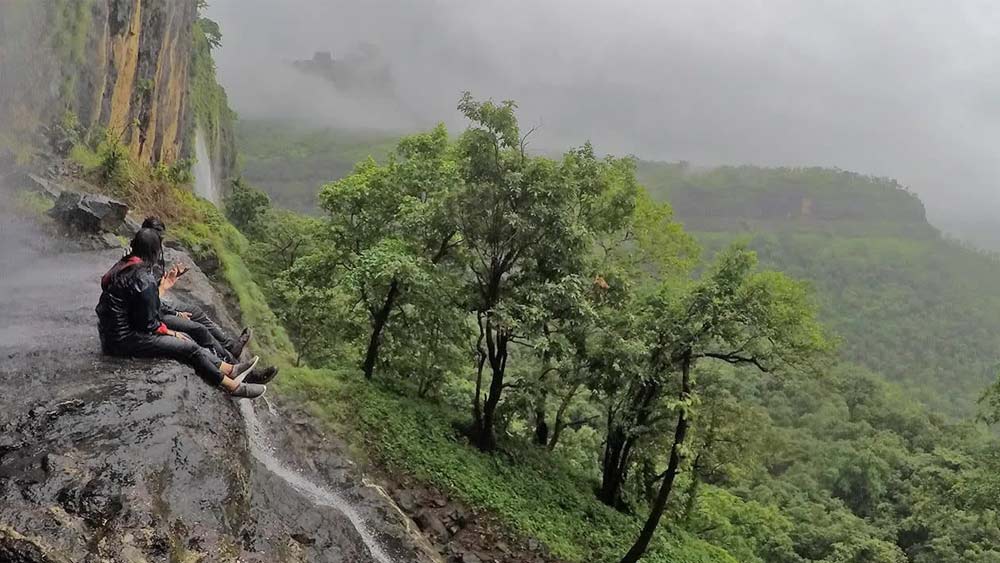সমুদ্র সৈকত হোক বা অরণ্য। অন্ধকারে উজ্জ্বলতার নেপথ্য কারিগর হল ‘বায়োলুমিনিসেন্স’। বায়োলুমিনিসেন্স হল এমন কিছু জীব বা ছত্রাক, যাদের দেহ আলোর উৎস। মিসেনা এবং  জোনাকি সেই বায়োলুমিনিসেন্সেরই উদাহরণ। কিছু ছত্রাকও এই গোত্রে পড়ে।