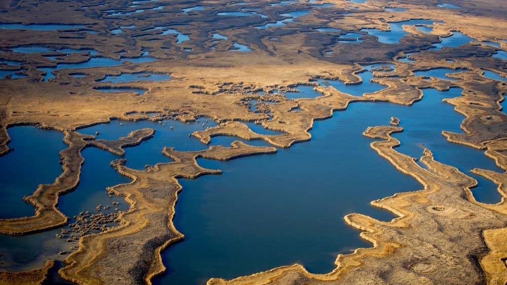 কাজাখস্তান: সাবেক সোভিয়েত ইউনিয়নের আরেক মুসলিম প্রজাতন্ত্র কাজাখস্তানের প্রায় ৩৪ হাজার বর্গ কিলোমিটার দাবি করে চিন।