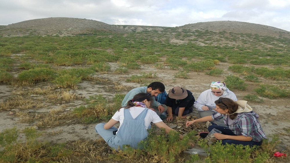 কিন্তু ইতিহাস থেকে হারতাপু সম্বন্ধে খুব কমই জানা যায়। তবে এই স্টেলে থেকে অনুমান করা যায়, তুর্কমেন-কারাহয়ুক হারতাপুর রাজধানী হতে পারে। এই এলাকার প্রায় ৩০০ একর এলাকা জুড়ে তাঁর রাজধামী বিস্তৃত ছিল।