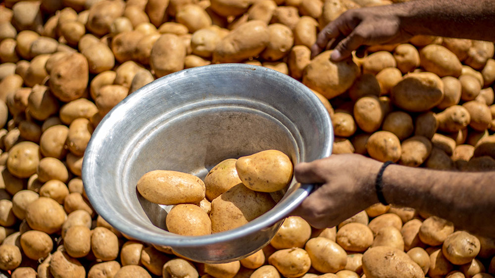 30 percent space at Cold Storage is for Potatoes