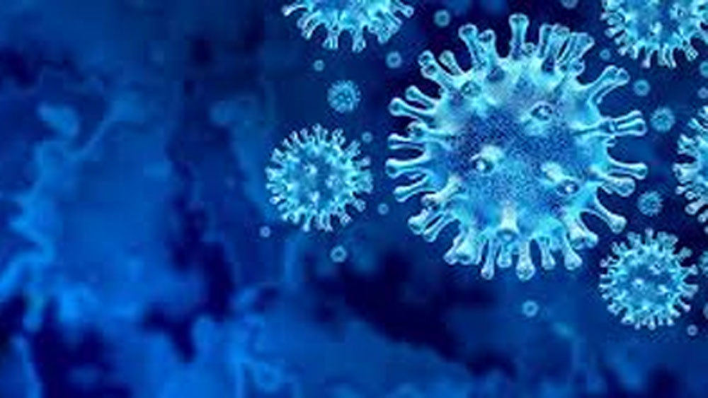 Coronavirus: Freedom does not mean arbitrariness