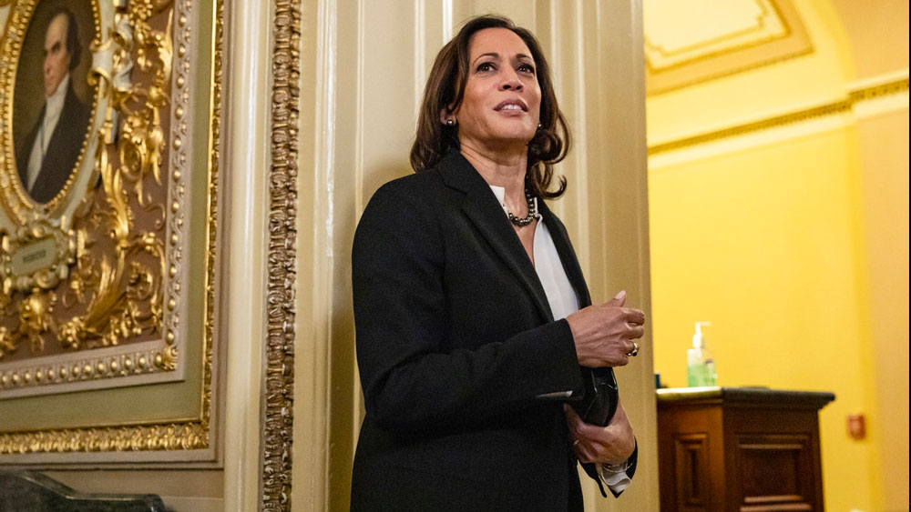 ইন্দো-মার্কিনদের অনেকেই বাইডেনের এই সিদ্ধান্তকে স্বাগত জানিয়েছেন। ভাইস-প্রেসিডেন্টের দৌড়ে শামিল হওয়ার পরই কমলার সমর্থকরা প্রচার শুরু করেছেন, ‘আমেরিকা মে খিলা কমল’। তবে ইন্দো-মার্কিনদের মধ্যে আবার একটা অংশ কমলার মনোনয়ন নিয়ে খুব একটা সন্তুষ্ট নয়। তাঁরা ভারত-আমেরিকার দ্বিপাক্ষিক সম্পর্কে কমলার ভূমিকা নিয়ে প্রশ্ন তুলেছেন।