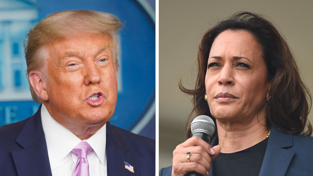 এক সময় মার্কিন প্রেসিডেন্ট হওয়ার দৌড়েও প্রতিদ্বন্দ্বী ছিলেন কমলা। সে সময় ট্রাম্পকে বিঁধেই প্রচার শানিয়েছিলেন তিনি। তাঁকে বলা হচ্ছিল ‘লেডি ওবামা’। অনেকেই ভেবেছিলেন, বারাক ওবামার পরে হয়তো আরও এক অশ্বেতাঙ্গ এবং প্রথম মহিলা হিসেবে আমেরিকার প্রেসিডেন্টের আসনে বসতে চলেছেন।