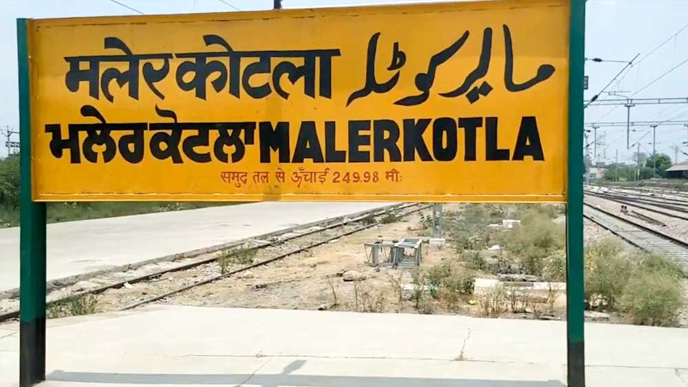 কিন্তু তাঁর মায়ের কাছে পৌঁছতে আরও এক বছর সময় লেগেছিল। অবশেষে ঠিকানা যোগাড় করে মালেরকোটলায় সেহমতের বাড়ির সামনে গিয়ে দাঁড়িয়েছিলেন হরিন্দর। তাঁর বক্তব্য শোনার পাশাপাশি গিয়েছিলেন পাকিস্তানে। উদ্দেশ্য গোপন করে অতিথি হয়ে ছিলেন এক বিচারপতির কাছে।  (ছবি: সোশ্যাল মিডিয়া)