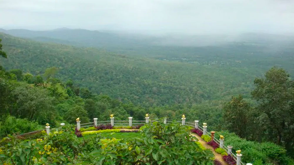 আদিবাসীদের ওষুধের প্রয়োজনও মিটিয়ে দেয় এই জঙ্গলই। জঙ্গলে রয়েছে বিভিন্ন রকমের ঔষধি গাছ। সেই গাছ থেকেই তারা তৈরি করেন বিভিন্ন ধরনের ওষুধ।