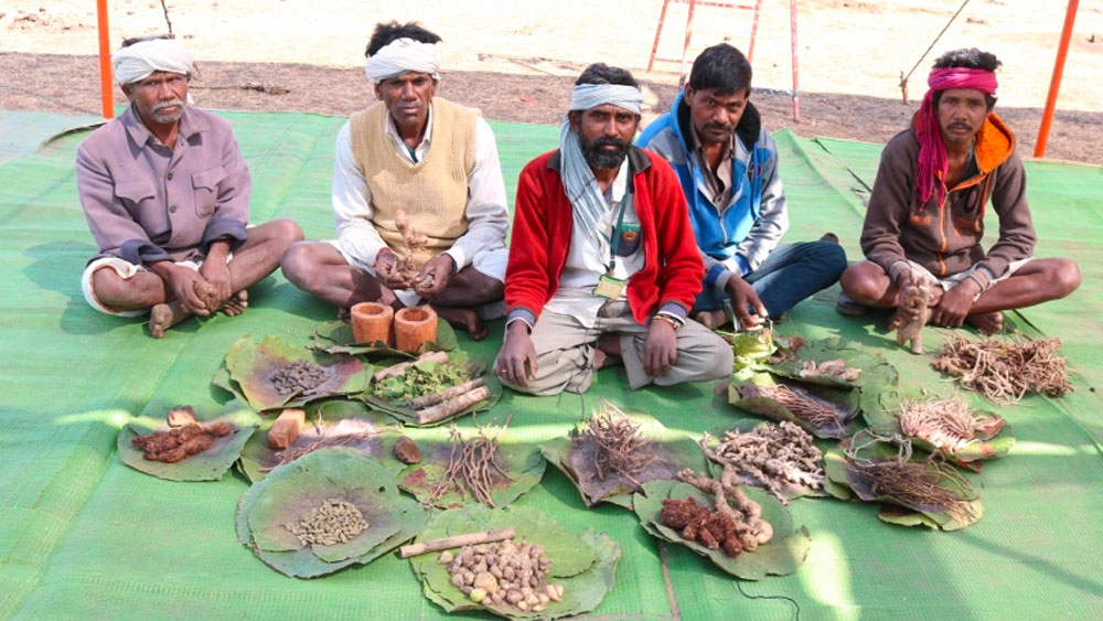 এই কাজ করার জন্য নির্দিষ্ট লোক রয়েছেন ওই আদিবাসী গ্রামে। তারাই বংশ পরম্পরায় করে আসছেন ওষুধ তৈরির সেই কাজ।