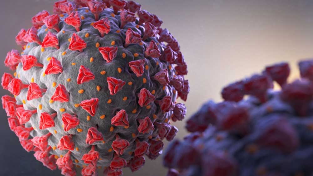 Coronavirus in Coochbehar: Discharge rate is increasing in the district