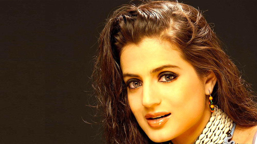 ব্যর্থ আমিশা আর এক বার ইন্ডাস্ট্রিতে ফেরার চেষ্টা করলেন। ‘রেস টু’, ‘ভাইয়া জি সুপারহিট’-এর মতো ছবিতে তিনি অভিনয় করেন। কিন্তু আগের জনপ্রিয়তা আর ফিরে এল না। এ সময় নিজের ঔদ্ধত্যের জন্য বার বার সমালোচিত হচ্ছিলেন আমিশা। ২০১৩ সালে ‘শর্টকাট রোমিয়ো’ ছবিতে তাঁকে শেষ বারের মতো দেখা গিয়েছে বলিউডের বড় পর্দায়।