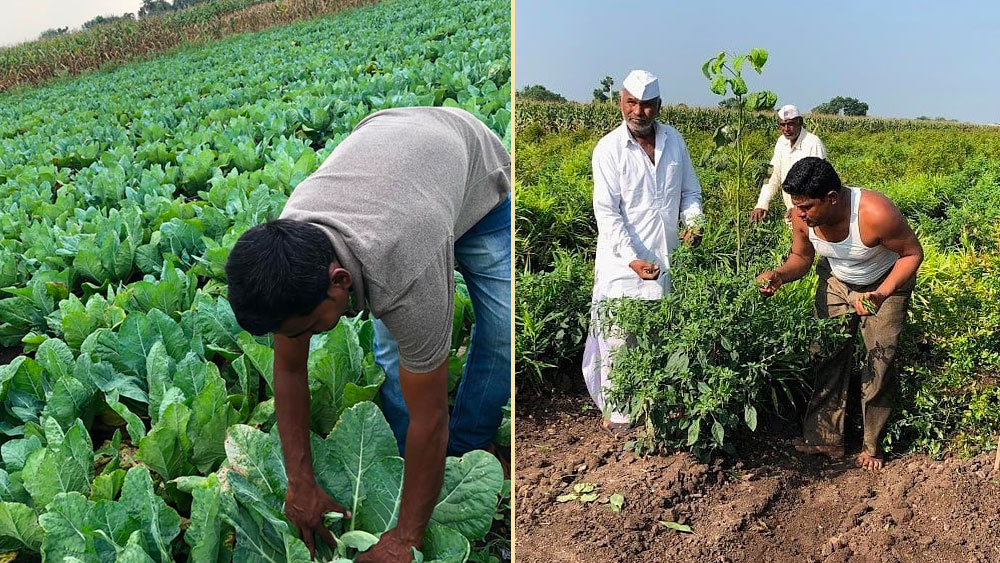সেখান থেকেই অর্গ্যানিক উপকরণ তৈরির কথা মাথায় আসে তাঁর। তার পর অর্গ্যানিক ফার্মিং তৈরির প্রক্রিয়া শেখা শুরু করেন।