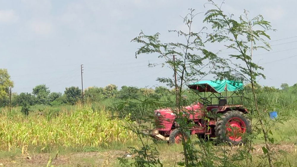 শুরুর দিকে সব্জি সরবরাহ করতে অতিরিক্ত খরচও করতে হয়েছে তাঁকে। ধীরে ধীরে সব্জি-ফলের গুণগত মানে আকৃষ্ট হতে থাকেন ক্রেতারা।