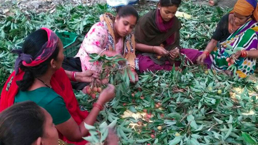 কৃষকরাও দেখতে থাকেন এই চাষ করে বেশি লাভ হচ্ছে তাঁদের। ফলে তাঁরাও শ্রিয়ার সঙ্গে কাজ করতে উৎসাহী হয়ে পড়েন।