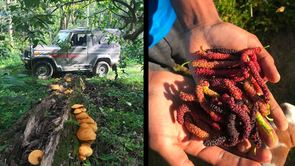 ক্ষতিকর রাসায়নিক সার ব্যবহারের জেরে কিছু কৃষকের শরীরে ক্ষতি হচ্ছিল। অর্গ্যানিক চাষের সুফল দেখেও তাঁরাও ওই সংস্থার সঙ্গে নিজেদের যুক্ত করেন।
