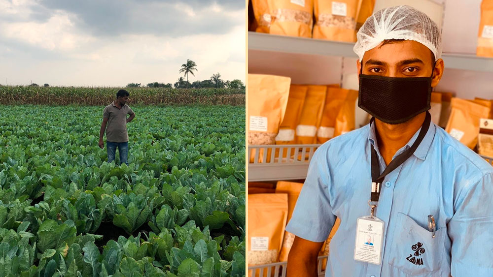 যেমন, পুণের কাছে একটি গ্রামে থাকেন আকাশ দোংরে। ক্ষতিকর কীটনাশক স্প্রে করে তাঁর চামড়ার মারাত্মক ক্ষতি হয়েছিল। কিন্তু অর্গ্যানিক চাষ শুরু করার পর সুস্থ আছেন তিনি।