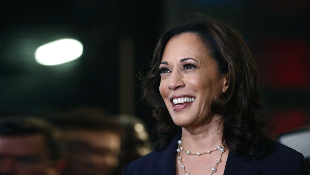 কমলার লেখা বই, কমলা মানুষটা কেমন এ নিয়ে বিস্তর পড়াশোনা করেছিলেন মল্লিকা। কমলার অতীত কেমন, কমলার কেরিয়ার গ্রাফ কেমন সবটা নিয়েই গবেষণা করেছিলেন অভিনেত্রী, এমনটাই জানিয়েছিলেন তিনি।