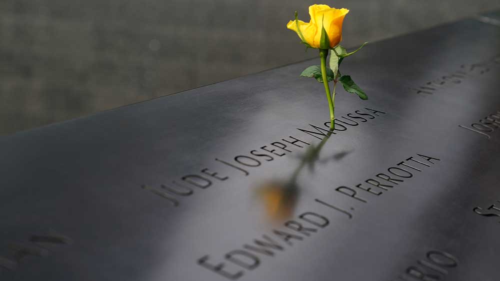 গ্রাউন্ড জিরোতে রাখা হয়েছে বন্ধুত্বের হলদে গোলাপ।