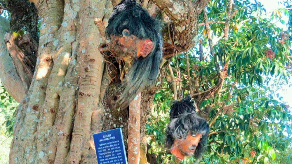 অতীতে মিজো উপজাতির জনপ্রিয় সংস্কৃতি ছিল হেড হান্টিং বা শত্রুপক্ষের মাথা কেটে আনা। শিকার করা মাথা ছিল গৃহসজ্জার অন্যতম উপকরণ। যার সংগ্রহে যত কাটা মাথা, মিজো সমাজে সে ছিল তত বড় বীর। ব্রিটিশ শাসন থেকেই ‘হেড
হান্টিং’ নিষিদ্ধ করা হয়। এখনও নিজেদের পার্বণে মানুষের কৃত্রিম মাথা উৎসর্গ করে দেবতাকে।