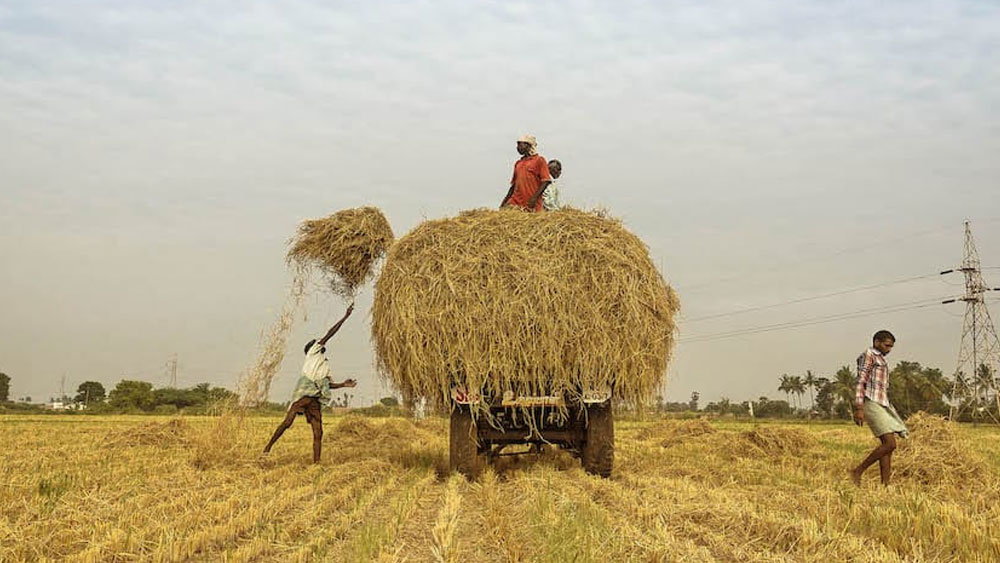 অন্যদিকে সরকারের যুক্তি, ১৯৫৫ সালে আইন প্রণয়নের সময় খাদ্য সঙ্কট ছিল দেশে। বিদেশ থেকে আমদানি করতে হত। কিন্তু এখন দেশে উৎপাদন বহু গুণ বেড়েছে। আমদানির বদলে এখন খাদ্যশস্য রফতানি করে ভারত। প্রতি বছর খাদ্য উদ্বৃত্ত থেকে যায়। কোনও মরসুমে উৎপাদন বেশি হলে মার খান চাষিরা। এই সব কারণেই অত্যবশ্যক পণ্য আইনে বদল আনা অবশ্যম্ভাবী হয়ে পডে়ছিল।